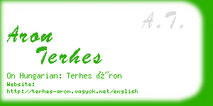 aron terhes business card